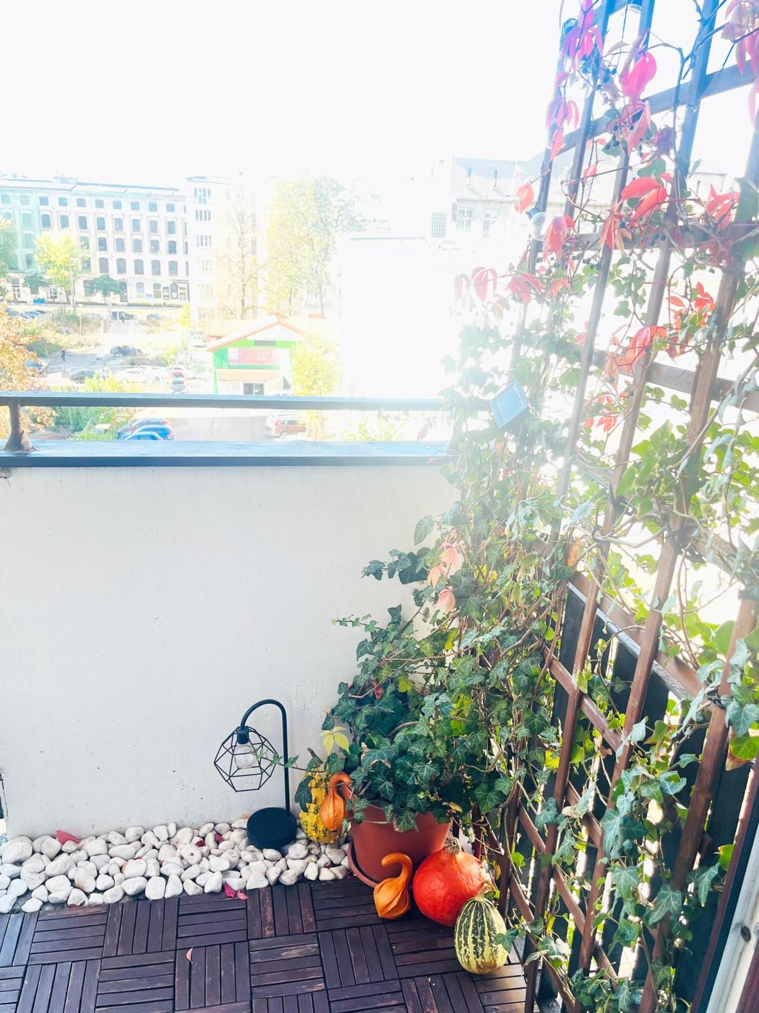Apartament I Love Piotrkowska Z Wielkim Lustrem, Balkonem I Klimatyzacja Łódź Dış mekan fotoğraf
